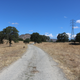 Illustration for article titled Toby Hike Day: Wellbarn Road to San Joaquin River Trail